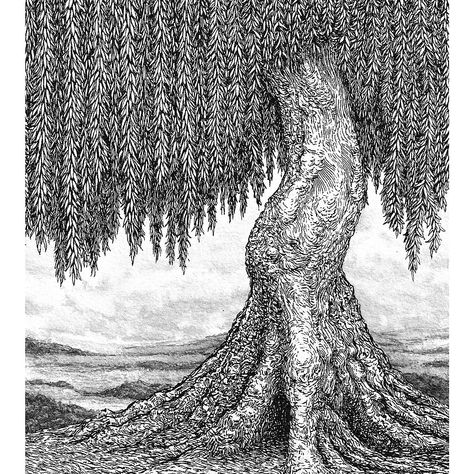 Shop Fine Art & Prints | The Salsa Creative | United Kingdom Tree Artwork, Artist Blog, Still Life Drawing, Willow Tree, Tree Drawing, Artist Gallery, Ink Pen Drawings, Graphic Design Illustration, Art World