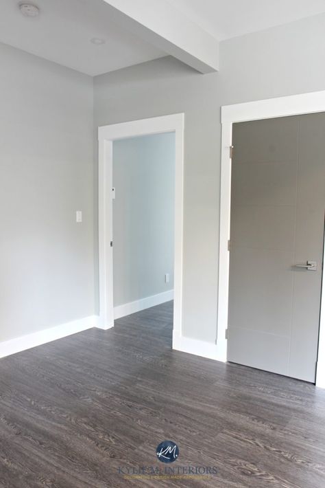 Benjamin Moore Stonington Gray hallway with white trim and Chelsea Gray painted door. Kylie M Interiors Colour Consultant online - Copy True Grey Paint Color, Hallway Paint Colors, Pintu Interior, Best Gray Paint, Best Gray Paint Color, Light Grey Paint Colors, Grey Hallway, Stonington Gray, Hallway Paint