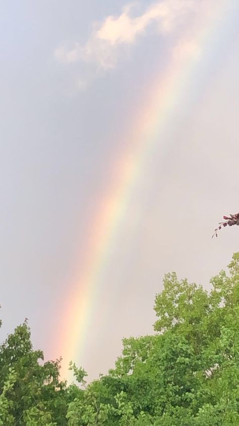 Spring Aesthetic Rainbow, March Pictures Spring, Rainy Day Rainbow Aesthetic, April Asthetic Picture, Spring Rainbow Aesthetic, Rainy Sunny Day Aesthetic, Rainy Summer Day Aesthetic, Rainy Garden Aesthetic, Jen Core Aesthetic