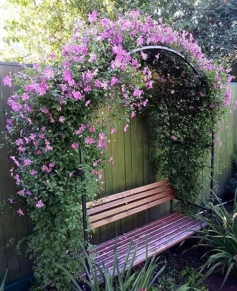 نباتات منزلية, Corner Garden, Garden Decor Projects, Have Inspiration, Backyard Garden Design, Garden Yard Ideas, Front Yard Garden, Small Garden Design, The Secret Garden