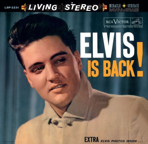 Every Elvis Album, Ranked -- Vulture Elvis Presley Biography, Elvis Presley Albums, Ray Ray, Elvis Presley Music, Priscilla Presley, Lisa Marie Presley, Neil Young, Record Sleeves, Blue Vinyl