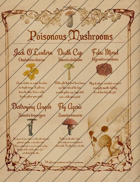 Book of Shadows Pages Poisonous Plants Poisonous Mushrooms | Etsy Poisonous Plant Identification, Book Of Poisons, Poisonous Plants Aesthetic, Poisonous Plants For Humans, Poison Recipe, Poisonous Herbs, Moon Phase Photo, Poisonous Berries, Poison Plants