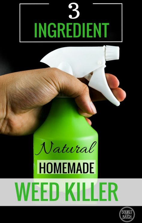 Awesome Homemade weed killer that is super cheap and easy to make! Braid Hairstyle Tutorial, Kill Weeds Naturally, Garden Ideas Diy Cheap, Killing Weeds, Half Braid, Garden Remedies, Garden Weeds, Garden Pests, 3 Ingredient