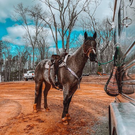 monthly dump 🤩 . . . . . . . . . #fyp #goviral #western #punchy #aesthetic #dump #pd #photodump #month #march #horse #barrelracing #barrelhorse #barrelracer Punchy Aesthetic, Monthly Dump, Novel Aesthetic, Horses Western, Dream Birthday, Western Horses, Hoco Nails, Aesthetic Dump, Dream Horse Barns