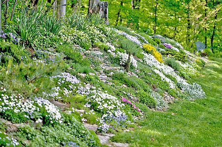 Naturalizing Groundcovers Fill a Hillside with Color Acreage Landscaping, Garden Landscaping Design Ideas, Landscaping Rock, Landscaping A Slope, How To Garden, Sloped Yard, Faux Rock, Hillside Garden, Sloped Backyard