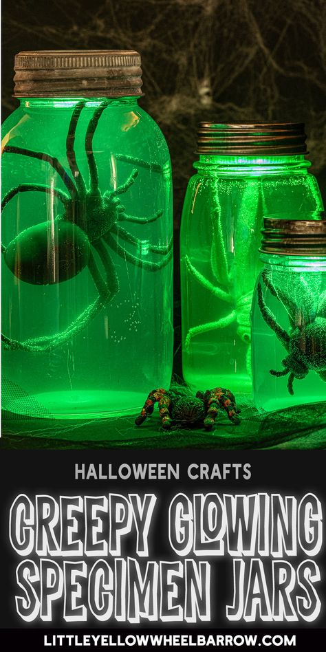 Make these light-up Halloween specimen jars, fast! With just a few materials and a couple easy steps you can make this easy Halloween craft project for your mad scientist's lab. We found remote-controlled LED lights that work under water, and even changed colours, and they really make this Halloween project pop! Entrada Halloween, Specimen Jars, Läskig Halloween, Soirée Halloween, Scary Halloween Decorations Diy, Halloween Jars, Casa Halloween, Creepy Halloween Decorations, Diy Halloween Decor