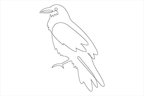 Raven Line Drawing Images - Free Download on Freepik Raven Drawing Simple, Raven Outline, Raven Drawing, Line Drawing Images, Logo Psd, Free Business Card Mockup, Pattern Images, Drawing Images, Card Banner