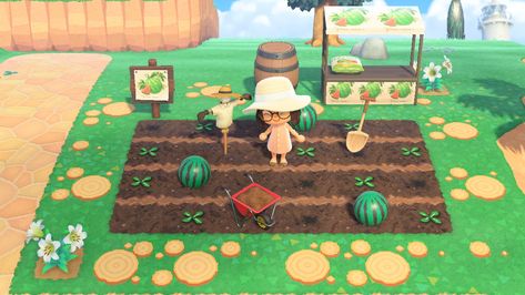 my cute little watermelon patch! Acnh Watermelon Farm, Acnh Watermelon, Watermelon Farming, Watermelon Patch, Watermelon Pattern, Animal Crossing, Watermelon, Hobbies, Kids Rugs