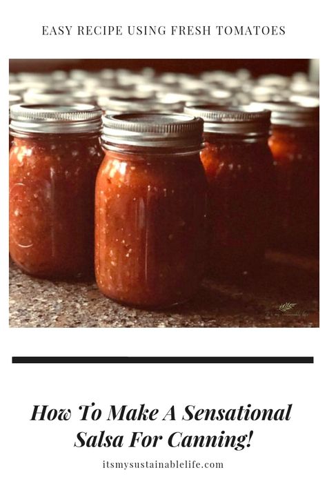 Medium Salsa Recipe For Canning, Salsa With Fresh Tomatoes, Salsa For Canning, Canning Homemade Salsa, Canned Salsa, Canned Salsa Recipes, Salsa Canning Recipes, Salsa Salsa, Fresh Salsa Recipe