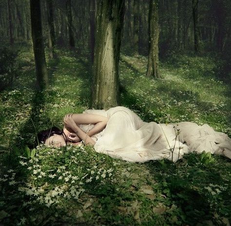 #energy  love Feminine Tomboy, Studio Photography Poses, Theme Nature, Photography Themes, Dreamy Photography, Fantasy Forest, Fantasy Photography, Fantasy Aesthetic, Forest Fairy