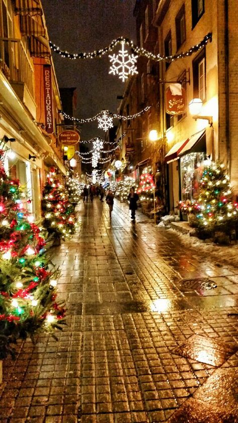 Quebec City at Christmas Where To Travel In December, Quebec Christmas, Travel In December, Quebec City Christmas, Božićne Dekoracije, Chickens In The Winter, Christmas City, Christmas Destinations, Google Image Search