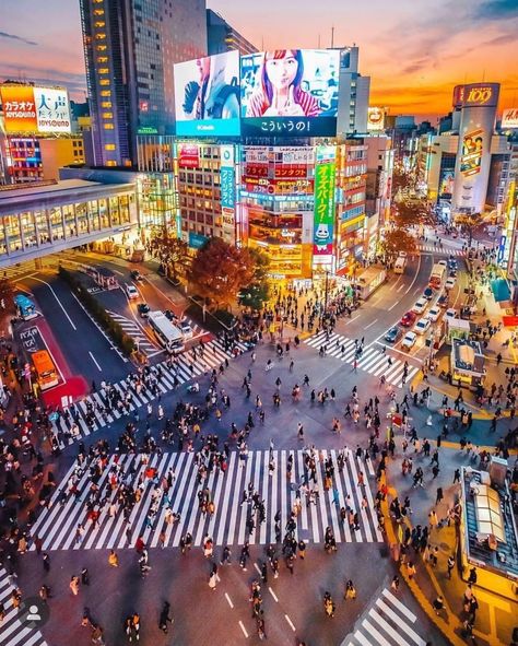 Asian City, City Inspiration, Tokyo Travel Guide, Materi Bahasa Jepang, Shibuya Crossing, Tokyo Japan Travel, Tokyo City, Japan Photography, 강아지 그림