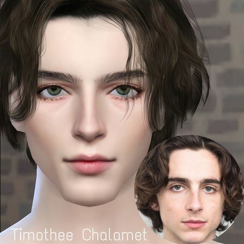 Sims characters : Timothée Chalamet Sims 4 Cc Timothee Chalamet, Sims 4 Timothee Chalamet, Timothee Chalamet Sims 4, The Sims 4 Characters, Sims 4 Cc Male Face, Male Face Shapes, Sims Characters, The Sims 4 Skin, The Sims 4 Packs