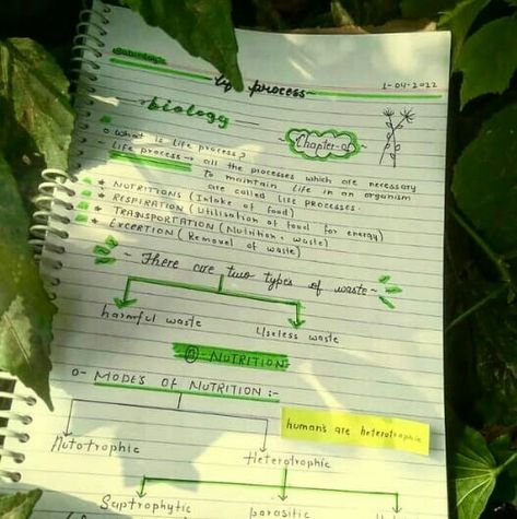 Aesthetic notes / bio notes 🍁 Botany Notes Aesthetic, Nutrition Notes Aesthetic, Life Processes Class 10 Notes Aesthetic, Bio Notes Aesthetic, Nutrition In Plants, Bio Notes, Nurse Study, Plant Notes, Types Of Waste