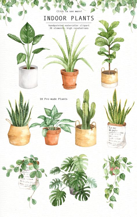 Indoor Plants Watercolor Clipart by everysunsun on @creativemarket Indoor Plants Drawing, Watercolour Leaves, Plants Watercolor, Kaktus Dan Sukulen, Plants In Pots, Indoor Flowering Plants, نباتات منزلية, Fleurs Diy, Leaves Watercolor