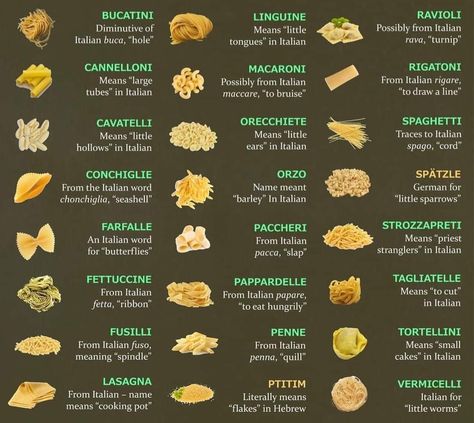 Pasta Types, Food Infographic, Cooking 101, Food Info, Food Names, Cooking Basics, Food Facts, Pasta Recipe, Pasta Dishes