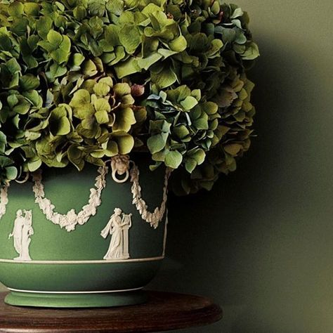 "My passion for green includes this amazing Ralph Lauren paint color ~ Angler Green!! #green #ralphlauren #jasperware #hydrangea" Photo taken by @traditionsltd on Instagram, pinned via the InstaPin iOS App! http://www.instapinapp.com (02/08/2016) Ralph Lauren Paint Colors, Ralph Lauren Paint, Room Colours, Colour Trend, Ivy House, Green Hydrangea, Green Rooms, Country Style Homes, Green House