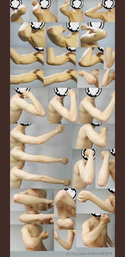 Arm Anatomy, Lukisan Fesyen, Hand Drawing Reference, Figure Reference, Anatomy Poses, Anatomy For Artists, Body Reference Drawing, Hand Reference, Human Reference