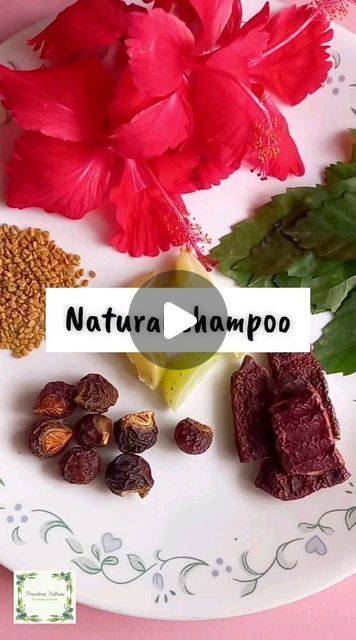 Natural Shampoo Diy, Shampoo Shelf, Hibiscus Leaf, Packaging Ingredients, Hibiscus Leaves, Shampoo Ingredients, Diy Shampoo, Natural Diy, Plastic Packaging