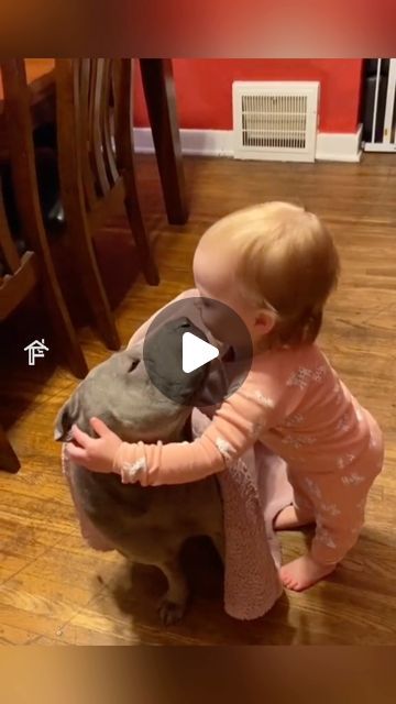 Dogs Being Cute, Puppy Videos Cutest, Funny Pets Videos, Babies With Dogs, Dog Videos Cutest, Baby Animals Adorable, Babies And Puppies, Cute Dogs Videos, Babies And Dogs