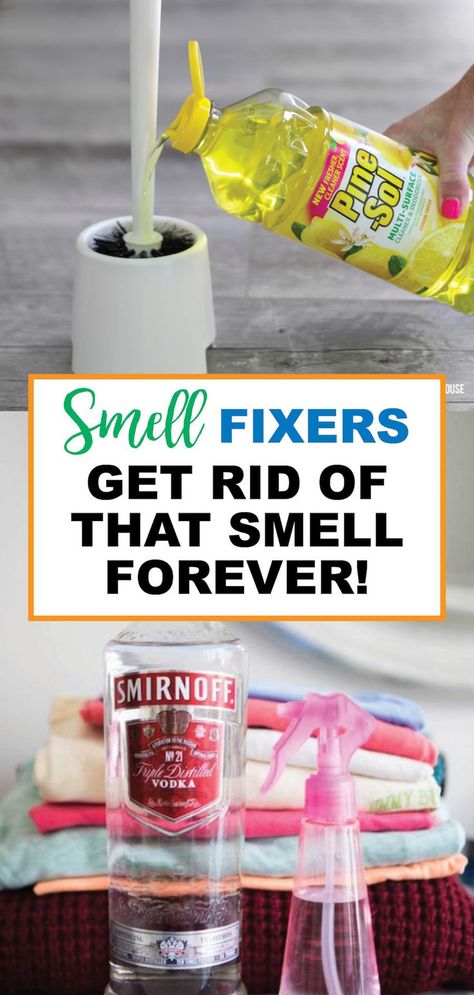 Make your house smell beautiful again. Discover ways to bring freshness into your home with these smell hacks. Ingenious hacks using everyday items to make your home smell clean and fresh #smellhacks #hacks #tips #fresh #clean #diy #smartschoolhouse Smell Clean, 1000 Lifehacks, Smart School House, Clean Baking Pans, House Smell Good, Clean Eating Challenge, Deep Cleaning Tips, Household Cleaning Tips, House Smell