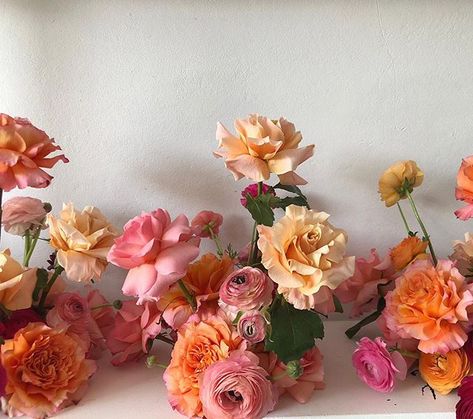 Wedding Backdrop Flowers, Bright Summer Flowers, Pink Red Orange Wedding Flowers, Coral Fall Wedding, Red Pink Orange Flower Arrangements, Colorful Floral Installation, Sunset Color Wedding Florals, Weeding Themes, Color Block Floral Installation