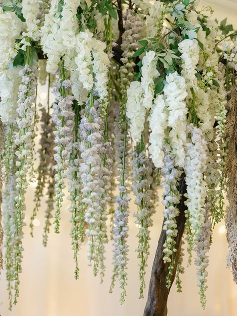 Wisteria Flower Wedding Decor, Wisteria Wedding Bouquet, Wisteria Wedding Arch, Wisteria Ideas, Wisteria Photo Backdrop, Wisteria Tree Wedding, Hanging Wisteria Wedding, Wisteria Tree Room Decor, Wisteria Flower Wedding Arch