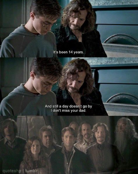 Sirius Black Quotes, Harry Potter Order, Harry Potter Sirius, Phoenix Harry Potter, Harry Potter Illustrations, Harry Potter Puns, Yer A Wizard Harry, Harry Potter Headcannons, Gary Oldman