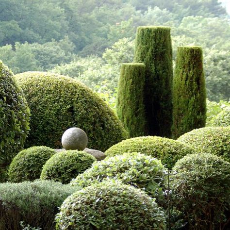 Front Landscape, Provence Garden, Garden Hedges, Topiary Garden, Formal Gardens, Mediterranean Garden, Traditional Landscape, French Garden, Green Landscape