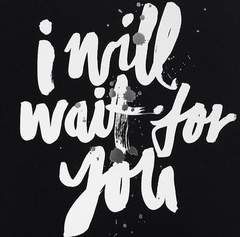 Blacklist Studio. Blacklist Studio, Kelly Smith, I Will Wait, Fonts Quotes, Dont Ever Give Up, Hand Lettering Fonts, Bird Seed, Black And White Drawing, Typography Quotes