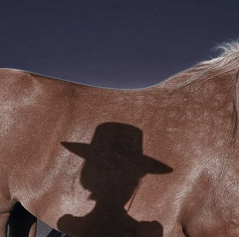 Foto Cowgirl, Cowboy Aesthetic, Cowgirl Aesthetic, Western Aesthetic, Yee Haw, I'm With The Band, Baby Cowboy, Horse Photography, Horse Girl