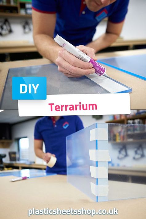 How To Build A Reptile Terrarium, Insect Vivarium, Making A Terrarium, Chameleon Terrarium, Plastic Terrarium, Stick Insects, Snake Terrarium, Acrylic Aquarium, Open Terrariums