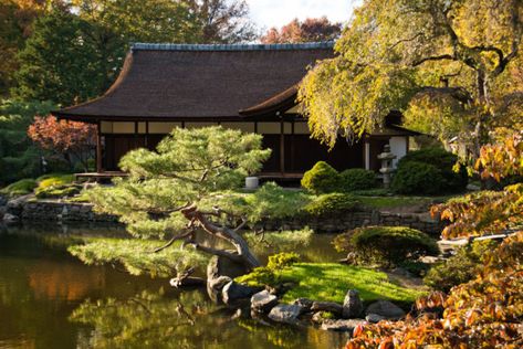 While Kudzu is notoriously “consuming” the southeast in the United States, the Japanese are eating the notorious plant considering it as the “world’s greatest cooking starch,” Japanese Home Exterior, Japanese House Garden, Beautiful Japanese Gardens, Japan Garden, Video Garden, Japanese Garden Design, House And Garden, Garden Nursery, Public Garden