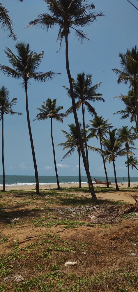 Beach side beautiful trees coconut trees vibes pretty skies Shangumugham Beach, Thrissur Aesthetic, Snehatheeram Beach, Boy Blurred Pic, Beach Video, Sky Photography Nature, Cartoon Wallpaper Hd, Cute Inspirational Quotes, Beach Side