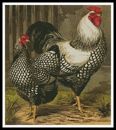 Popup Window 279994 Wyandotte Chickens, Wyandotte Chicken, Chicken Cross Stitch, Egg Ornaments, Fancy Chickens, Chicken Bird, Chicken Painting, Beautiful Chickens, Rooster Art