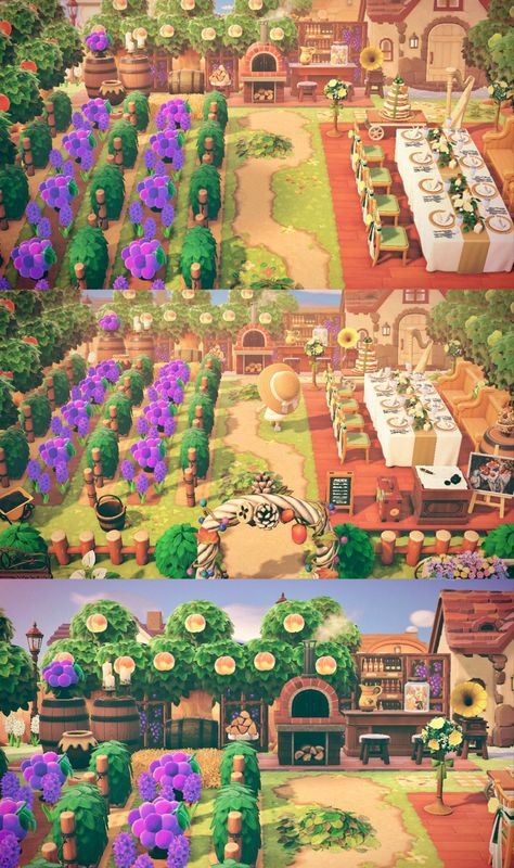 Island Layout, Cottagecore Animal Crossing, Animals Crossing, Acnh Designs, Aircraft Interiors, Acnh Ideas, Pocket Camp, Acnh Inspo, Island Map