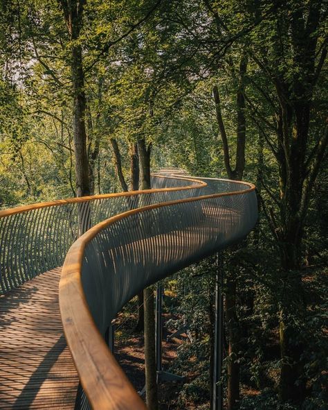 Case Creole, Sky Walk, Tree Canopy, Bridge Design, Forest Floor, Tree Tops, Country Estate, Incredible Places, English Garden