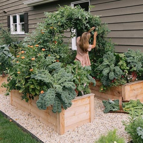 Garden With Sitting Area, Garden On Deck, Backyard Vegetable Gardens, Gardening Design, Garden Idea, Veg Garden, Garden Inspo, Landscaping Garden, Have Inspiration