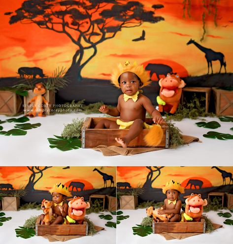 Lion King Theme, Lion King Party, Lion Birthday, Lion King Baby, Lion King Cakes, Lion King Birthday, Mickey Birthday Party, Cake Smash Backdrop, Baby Boy Dress