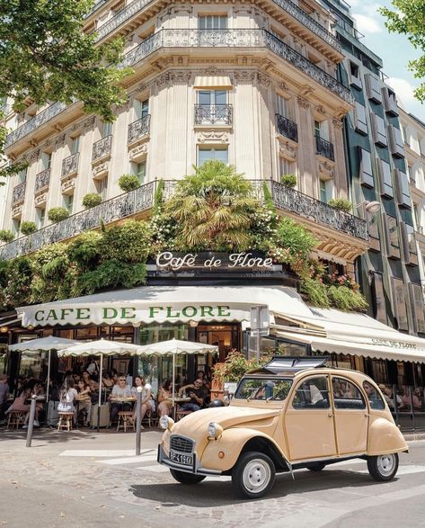 Guide to Café de Flore in Paris 6th District Paris Photography Eiffel Tower, Les Deux Magots, Paul Fuentes, Paris Vibes, Luxembourg Gardens, Romantic Paris, Parisian Cafe, Parisian Life, Paris Cafe