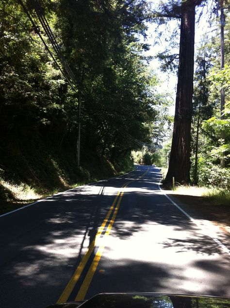 Old Santa Cruz Highway. Straight section of the road has to curve around a redwood tree. Santa Cruz Aesthetic, Lily Wallpaper, Santa Cruz Mountains, Forest Background, Redwood Tree, Central Coast, Monterey, Landscape Art, Forest