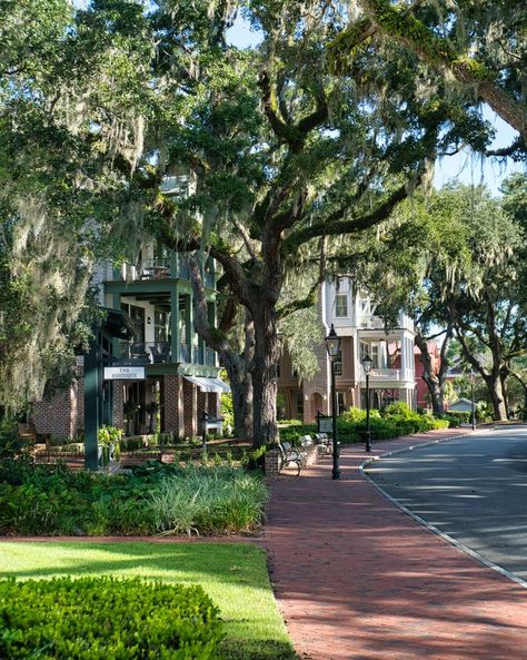 Montage Palmetto Bluff, Bluffton South Carolina, Commercial And Office Architecture, Palmetto Bluff, Canoe Club, Family Pool, Equestrian Facilities, Architectural Design House Plans, White Picket Fence