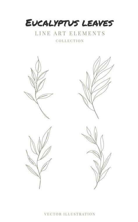 Download the One line drawing of eucalyptus leaves. Hand drawn floral elements line art. Vector illustration 23228699 royalty-free Vector from Vecteezy for your project and explore over a million other vectors, icons and clipart graphics! Willow Eucalyptus Tattoo, One Line Drawing Leaf, Eucalyptus Fine Line Tattoo, Eucalyptus Tattoo Design, Eucalyptus Leaf Tattoo, Green Plants Drawing, Eucalyptus Leaves Tattoo, Eucalyptus Line Drawing, Leaves Tattoo Design