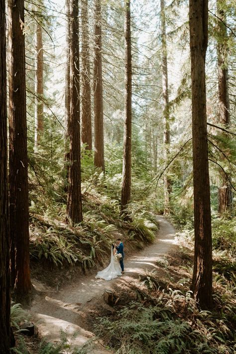 Oregon Outdoor Wedding, Hoyt Arboretum Wedding, Tillamook Oregon, Crook Point Oregon Wedding, Oregon Elopement Photography, Abernathy Center Wedding Oregon, Oregon Coast Wedding, Hoyt Arboretum Portland Oregon, Wedding Venues Oregon