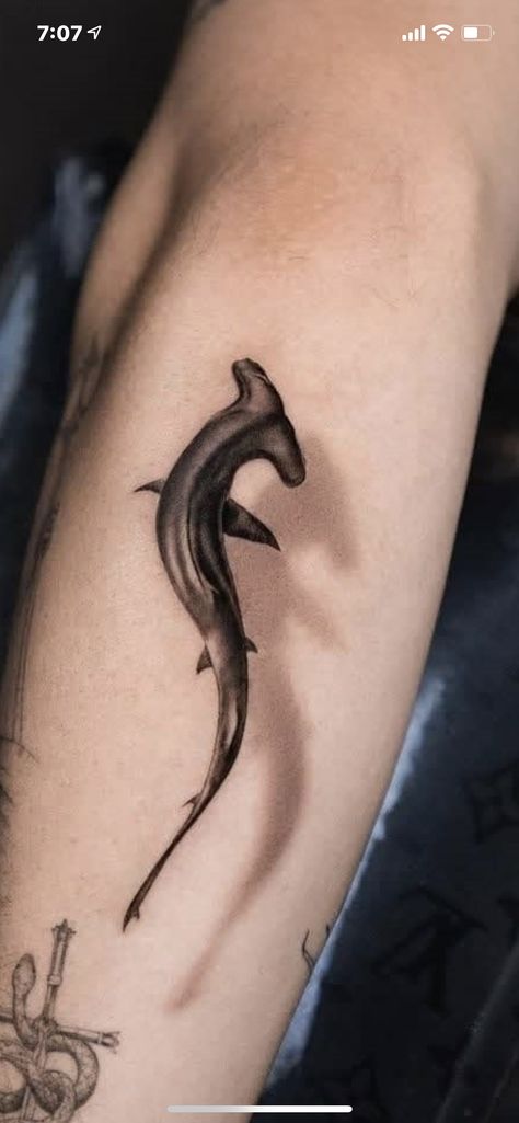 Shark In Water Tattoo, Floating Shark Tattoo, Tiger Shark Tattoo Ideas, Marine Biologist Tattoo, Shark Swimming Tattoo, Floral Shark Tattoo, Ocean Leg Sleeve Tattoo, Barracuda Tattoo, Shark Tattoos For Women