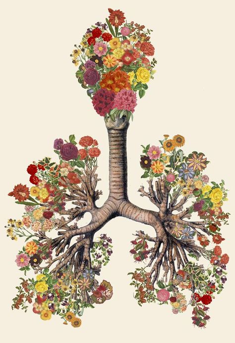 Surreal Anatomical Collage Art Made from Vintage Scientific Illustrations by Travis Bedel. Travis Bedel, Kunst Collages, Art Du Collage, Collage Kunst, Medical Art, Scientific Illustration, Abdominal Pain, Anatomy Art, Fantasy Illustration