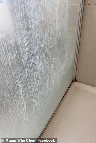 Mum reveals her VERY simple trick for banishing stubborn shower screen stains | Daily Mail Online Bathroom Shower Screen, Cleaning Shower Glass, Remove Water Stains, Window In Shower, Shower Pan, Homemade Cleaning Products, Blue Stain, Diy Cleaners, Soap Scum