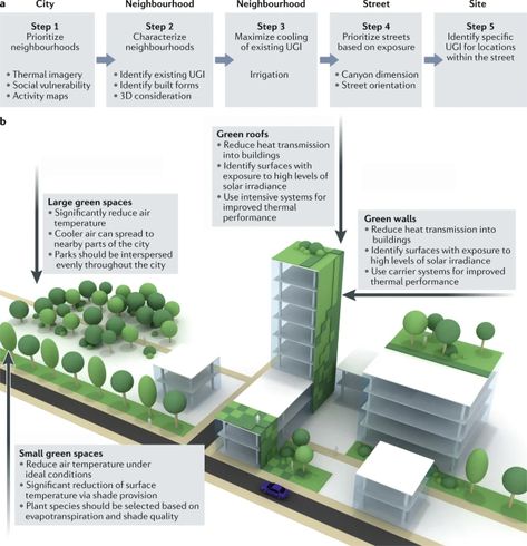 Greenery as a mitigation and adaptation strategy to urban heat | Nature Reviews Earth & Environment Green Urban Aesthetic, Green Infrastructure Design, Green Building Architecture Sustainable Design, Tree Infographic, Mitigation Strategies, Plant Placement, Green Building Architecture, Interior Design Competition, Green Roof Building