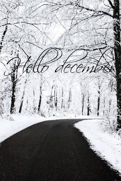 Winter Seasonal Backgrounds, Welcome December, Woodland Winter, Holidays Ideas, Hello December, Days And Months, Winter Love, Winter Beauty, Winter Wonder