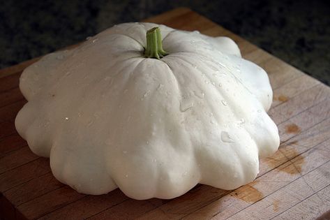 Pan Squash Recipe, Patty Pan Squash Recipe, White Patty, Summer Squash Bread, Squash Growing, Pan Squash, Squash Bread, Best Zucchini Bread, Freezing Fruit